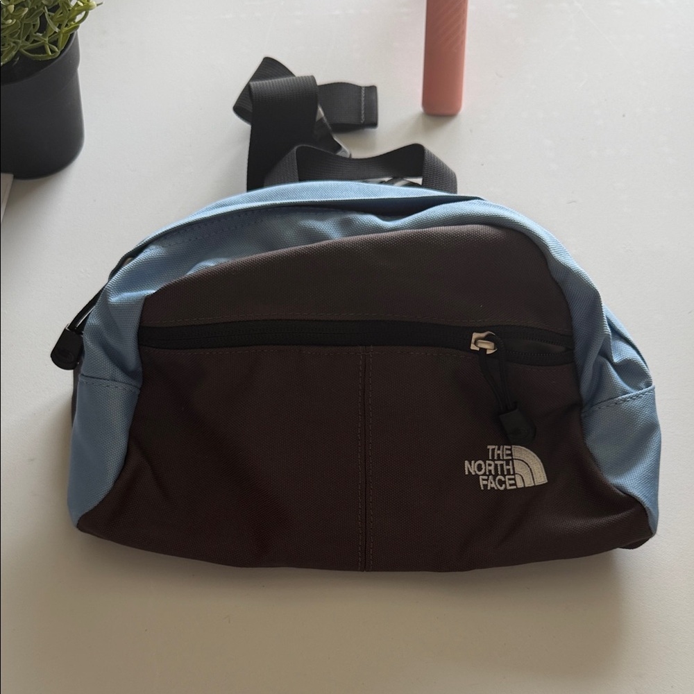The North Face Brown & Light Blue Men's Waist Pack